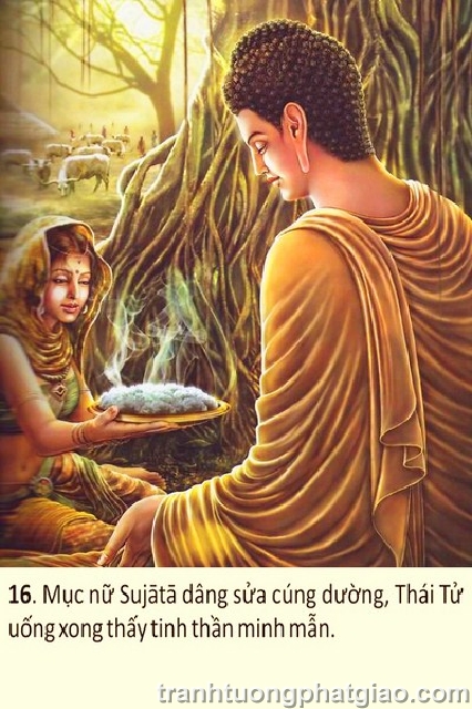 Lịch Sử Phật Thích Ca Mâu Ni Phật (1408)